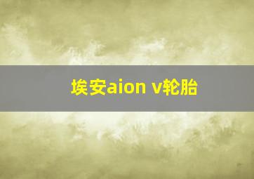 埃安aion v轮胎